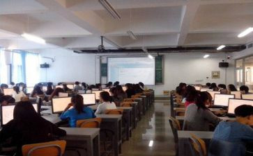实训总结报告800字5篇