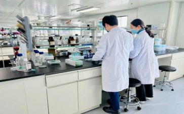 实验工作报告7篇