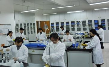 实验是总结报告7篇