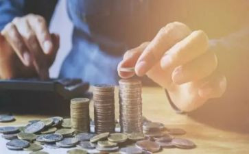 关于农民收入的调查报告6篇