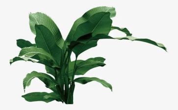 树大班游戏教案参考7篇