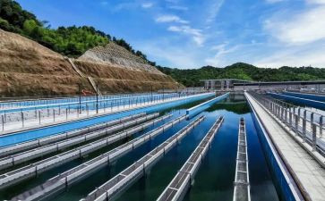 2024年污水处理厂年终个人总结7篇