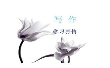 初中作文抒情作文优质8篇