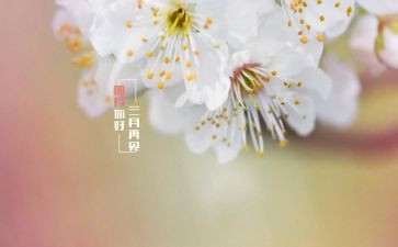 幼儿园四月总结通用6篇