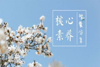 教师素养培训心得体会8篇