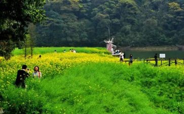 清明节踏青作文300字优秀6篇