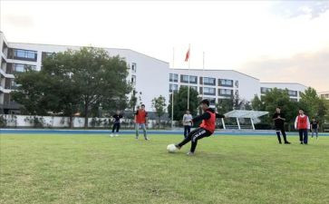 体卫处工作总结7篇