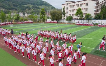 幼儿园关于投的体育活动教案8篇