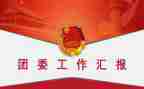 2023分团委工作计划8篇
