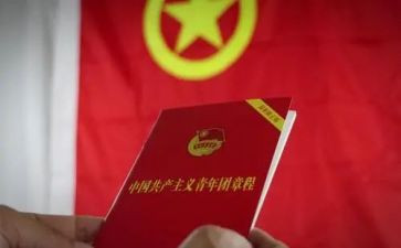 学团章的心得体会6篇