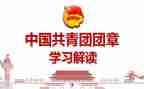学团章心得6篇