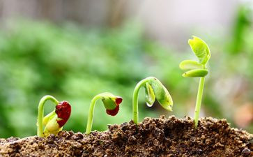 土壤与植物教案7篇