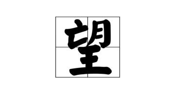 我希望的梦作文模板8篇