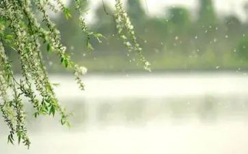 微风作文300字6篇