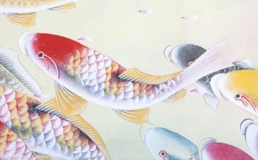 到是文化的心得体会推荐7篇