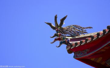 棕子里的文化作文模板7篇