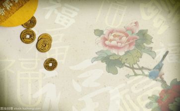 到是文化的心得体会模板8篇