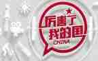 我的国庆我的国作文400字5篇