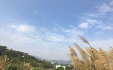 我我的一天作文600字参考5篇