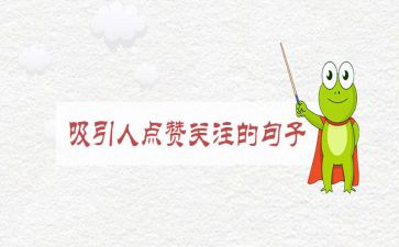 我关注作文优秀7篇