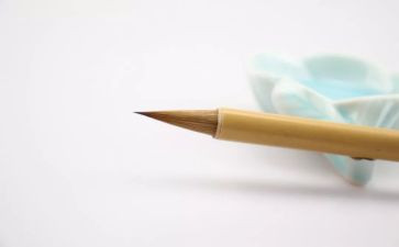 我想变成鸟的作文参考6篇