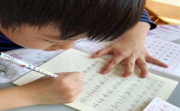 我想变成动物作文5篇