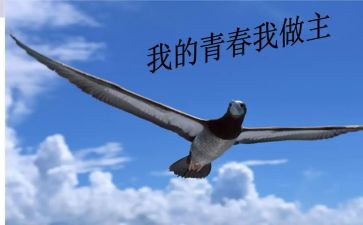 我的青春我做主的演讲稿精选8篇