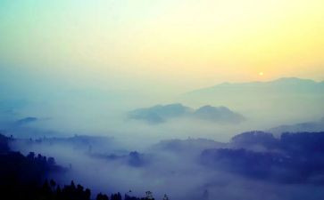 雾都雾都孤儿读后感7篇