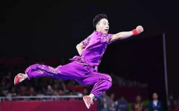 武术体育生教案5篇