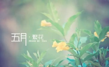 五月份大班工作总结5篇