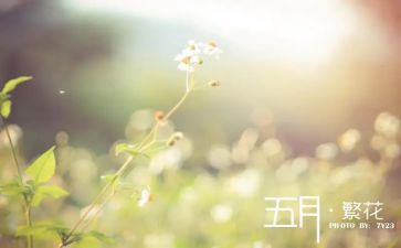 幼儿园小班五月工作计划5篇
