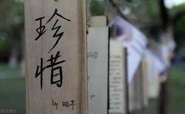 爱惜粮食小班教案8篇