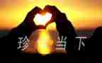 爱惜纸教案6篇