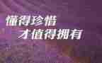 我珍惜友谊的作文7篇