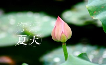 写夏天的风的作文8篇