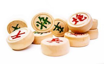 我的学象棋作文6篇