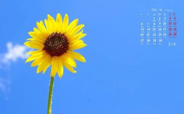 《向日葵》的作文参考8篇