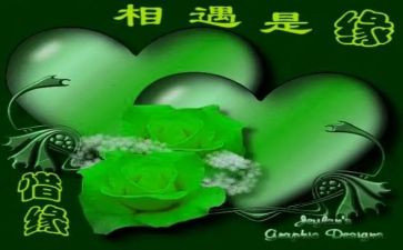 与书相遇作文优质5篇