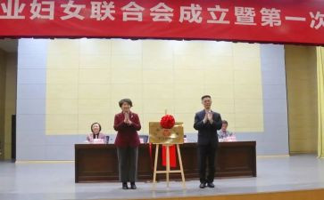 乡镇妇联工作汇报总结5篇