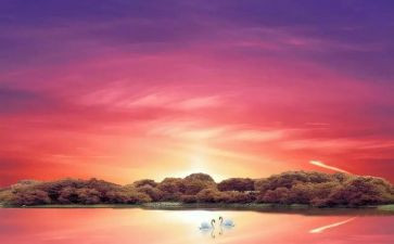 《骆驼祥子》读后感400字模板7篇