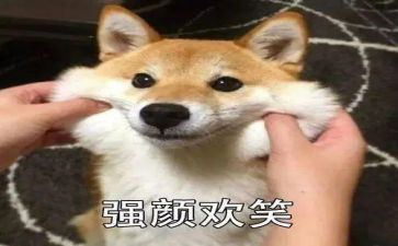 对生活微笑作文模板6篇