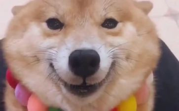 我的笑作文700字作文7篇