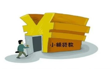 小额贷款公司工作总结5篇