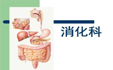 消化科年终总结7篇