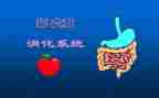 消化内科的工作计划6篇