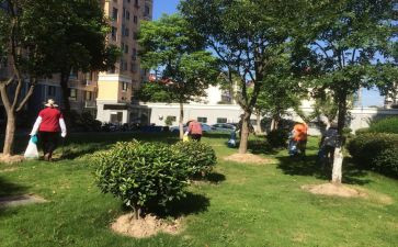小区物业保洁月工作计划8篇