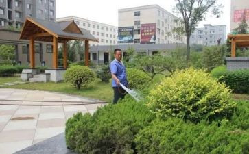 小区物业保洁年终总结5篇