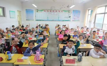 小学数学老师的心得体会参考7篇