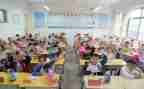 小学生阅读情况的调查报告7篇