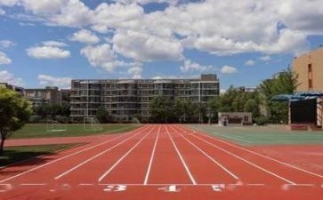 学校进校园活动总结报告5篇